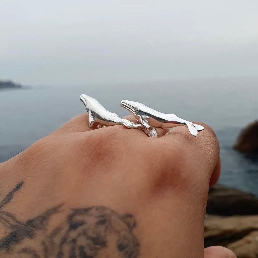 Anillo Ballenas en viaje