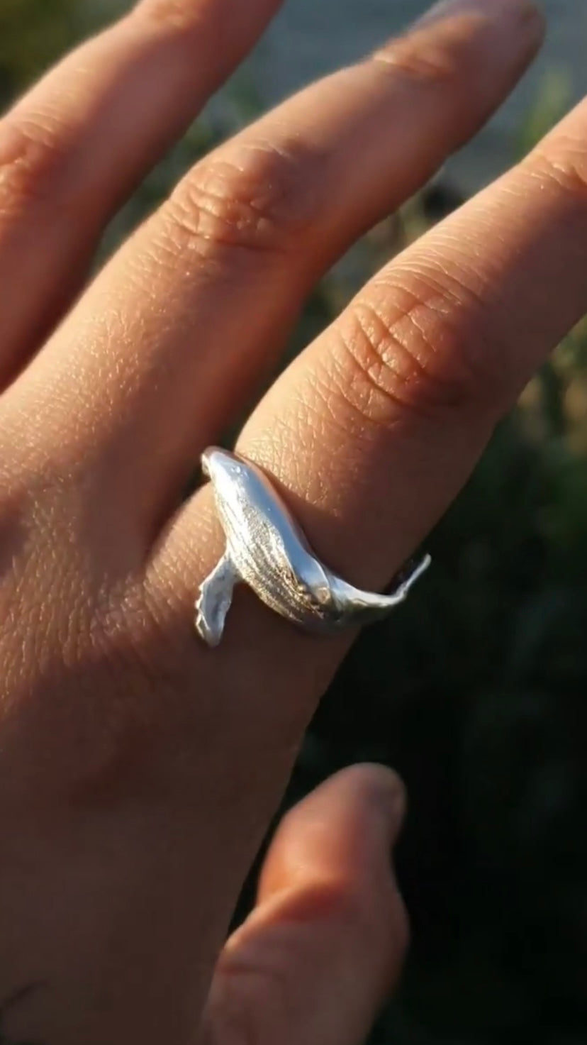 Anillo abrazo de Ballena