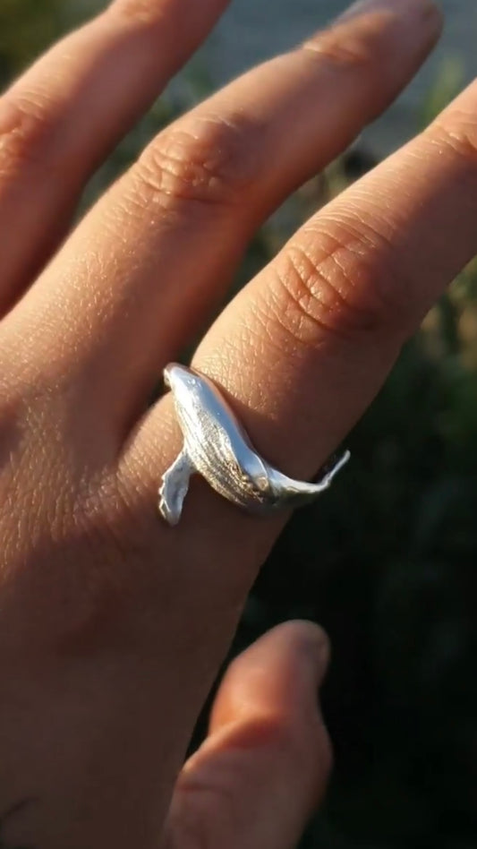 Anillo abrazo de Ballena
