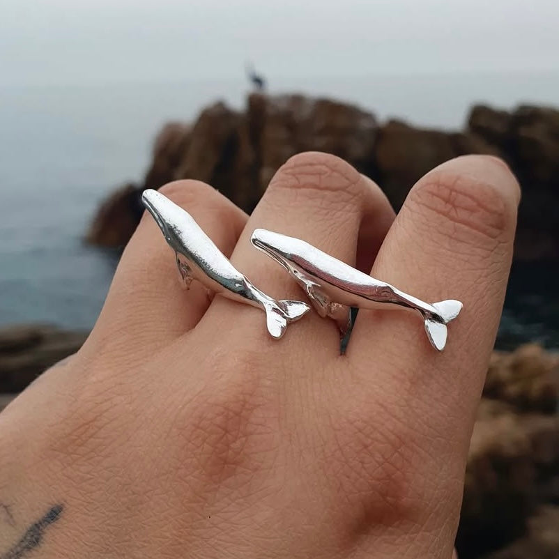 Anillo Ballenas en viaje