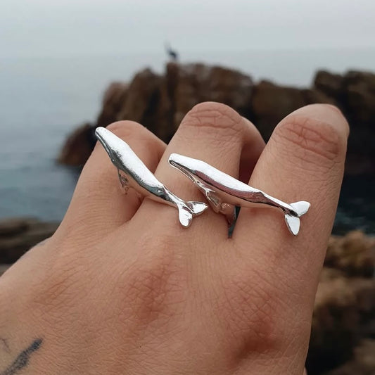 Anillo Ballenas en viaje