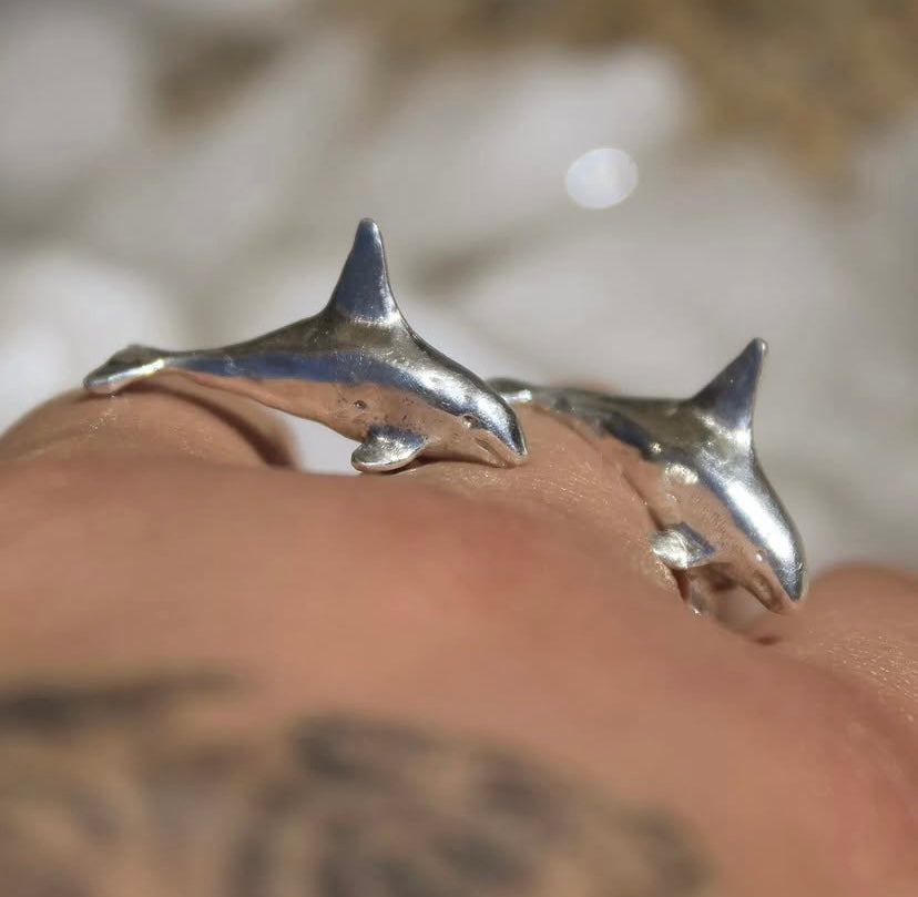 Anillo Orcas en viaje