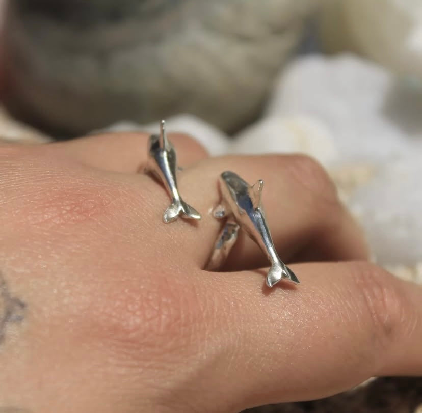 Anillo Orcas en viaje