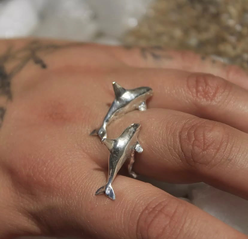 Anillo Orcas en viaje