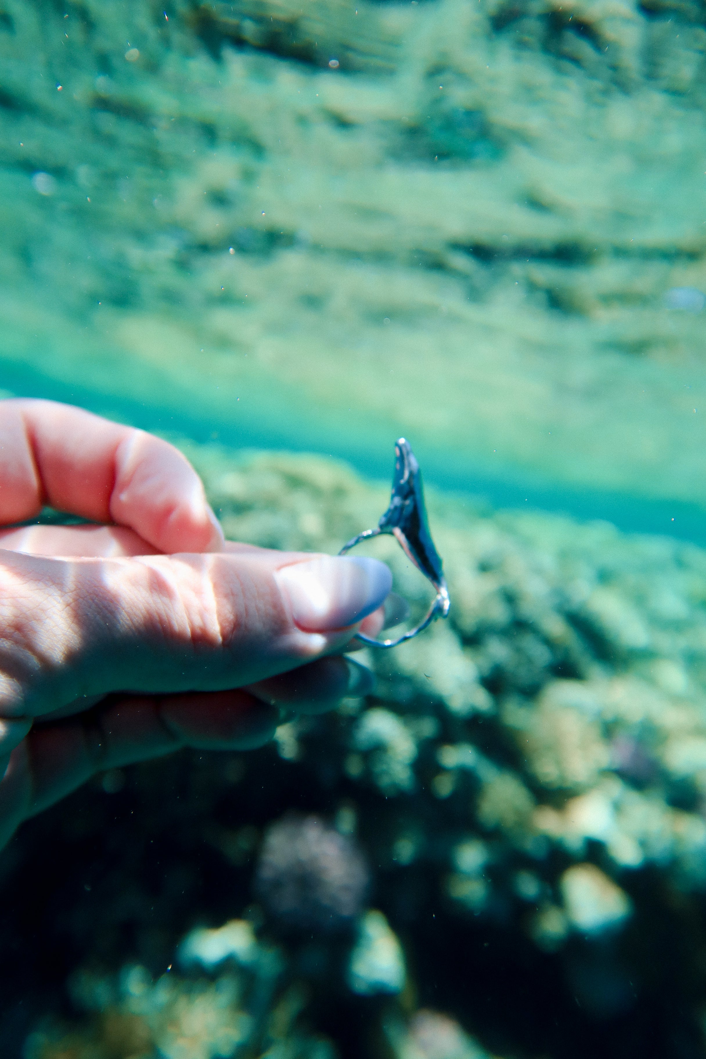 Anillo Ballena en viaje
