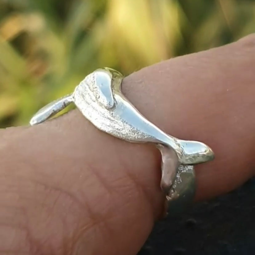 Anillo abrazo de Ballena