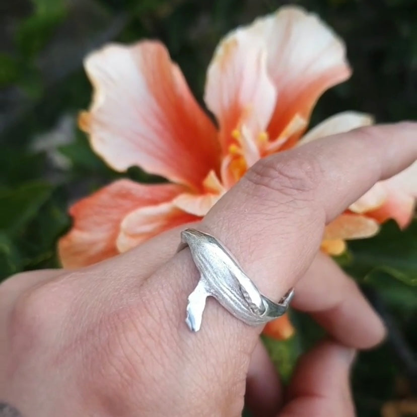 Anillo abrazo de Ballena