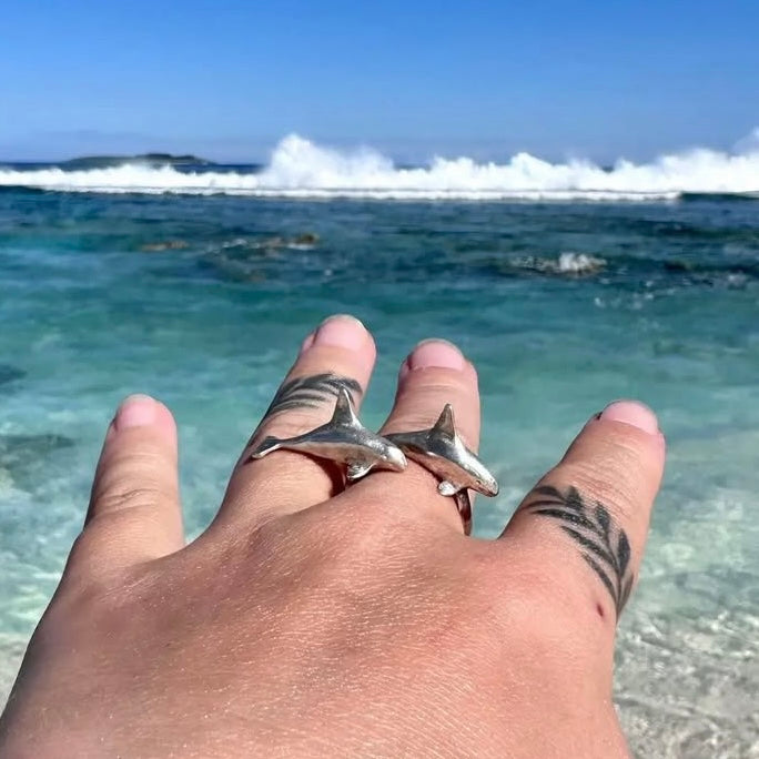 Anillo Orcas en viaje